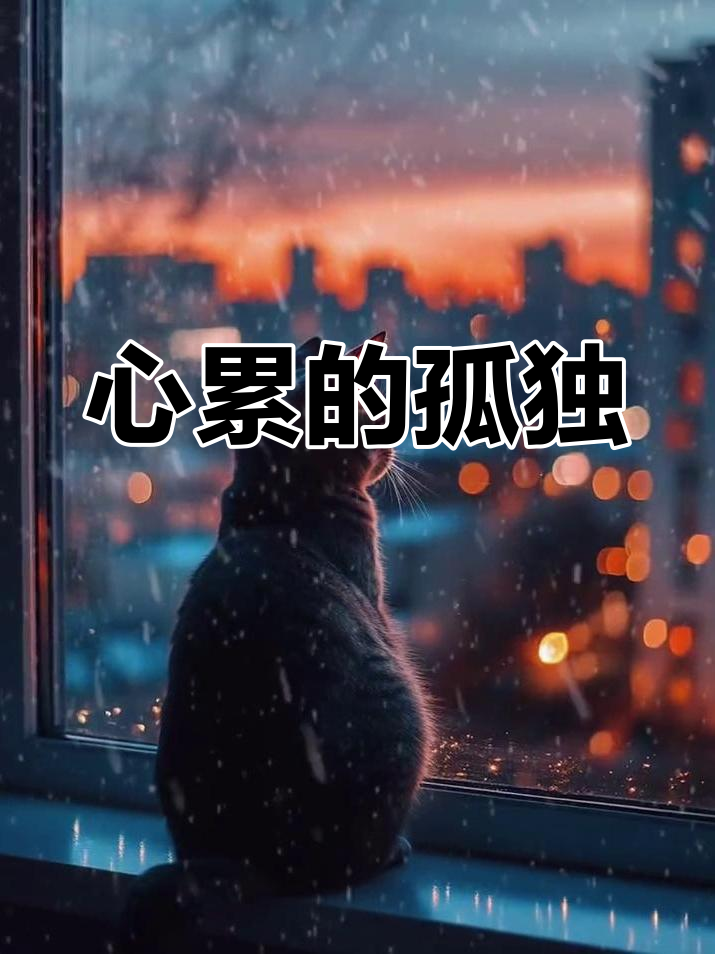 独自承受,心累到无法入睡,唯有自己能懂这无声的痛苦