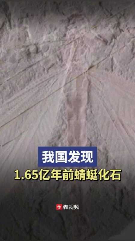 我国发现165亿年前的蜻蜓化石5月17日据央视新闻日前我国研究团队在