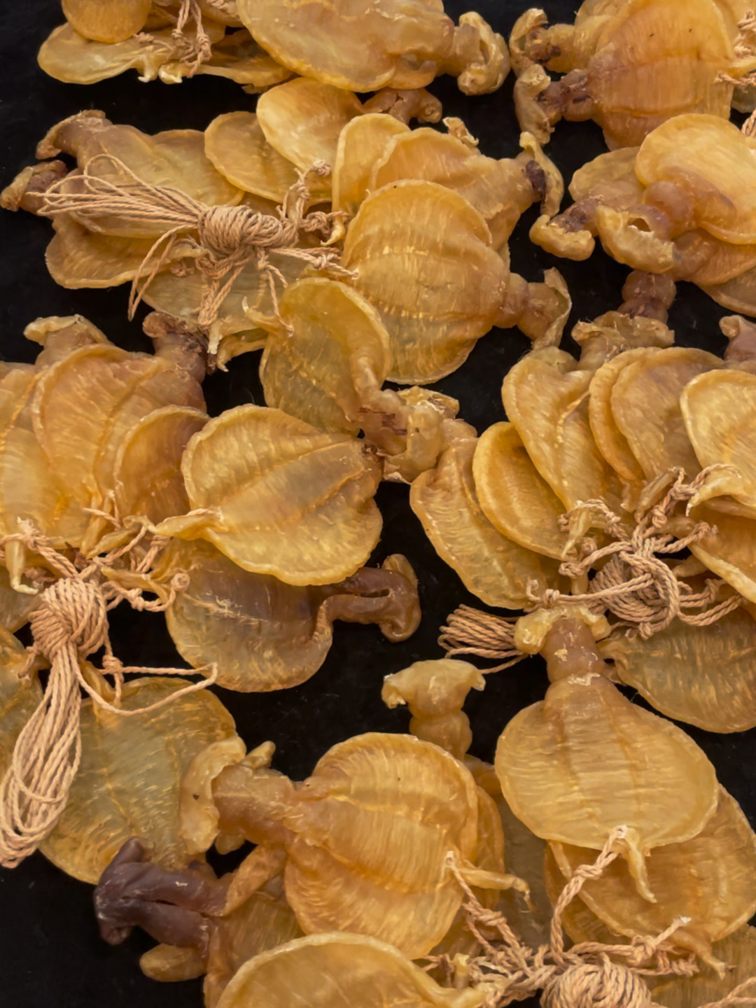 巴坦二代野生石肚赤嘴公胶