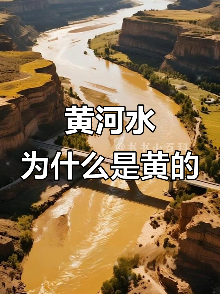 黄河水为何如此黄?揭秘背后的原因