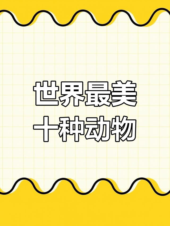 颜值爆表的十大动物,美丽与致命并存