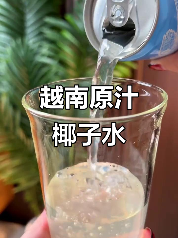 越南纯椰子水,无添加,零脂肪,清爽又甘甜