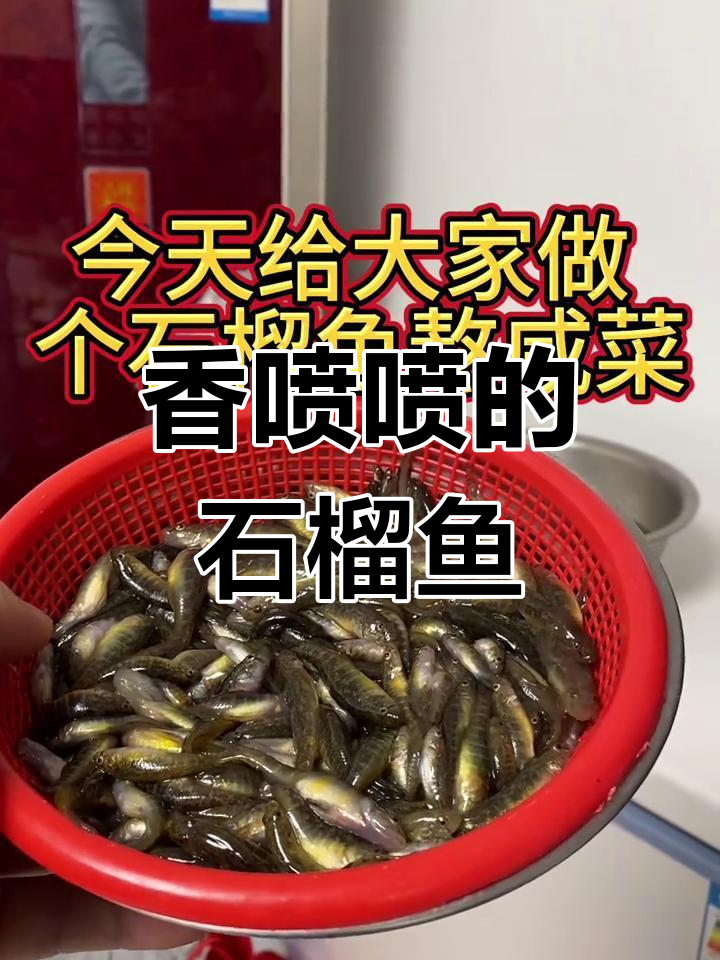 石榴鱼熬咸菜,香气扑鼻让人无法抗拒
