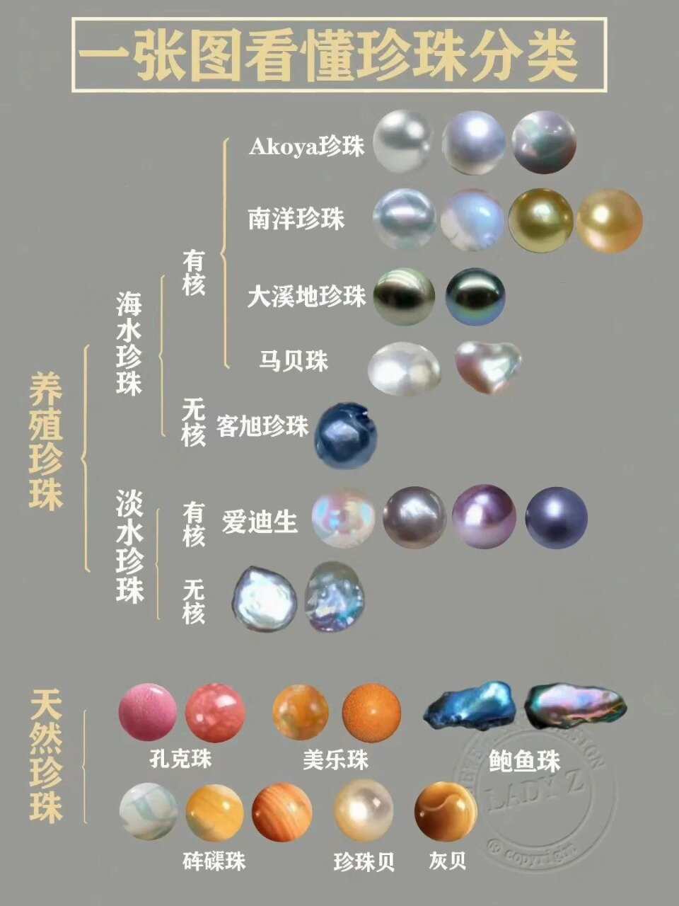 详细的珍珠种类合集