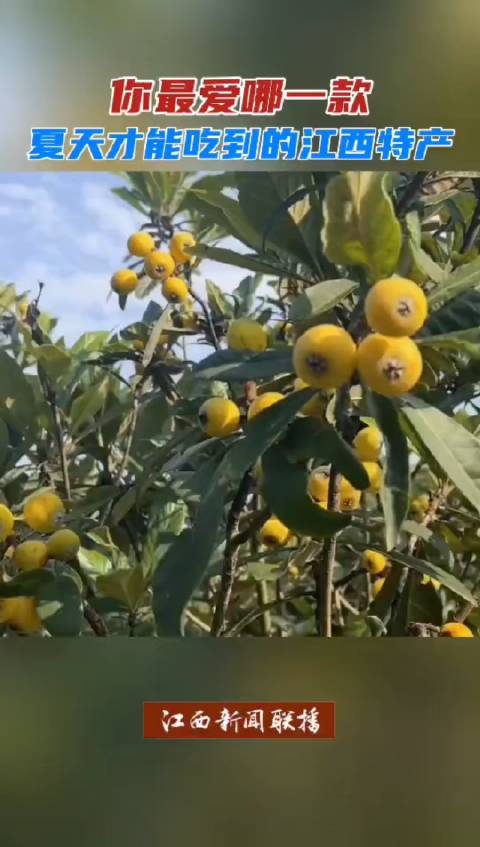 夏天才能吃到的江西特产」炎炎夏日,一大波香甜多汁的时令水果已经"