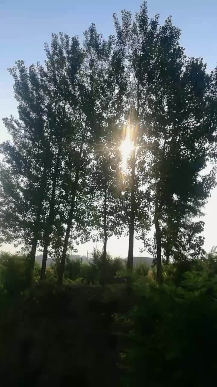 记录真实生活 清晨第一缕阳光 农村生活 又是一个平平常常的乡间早晨