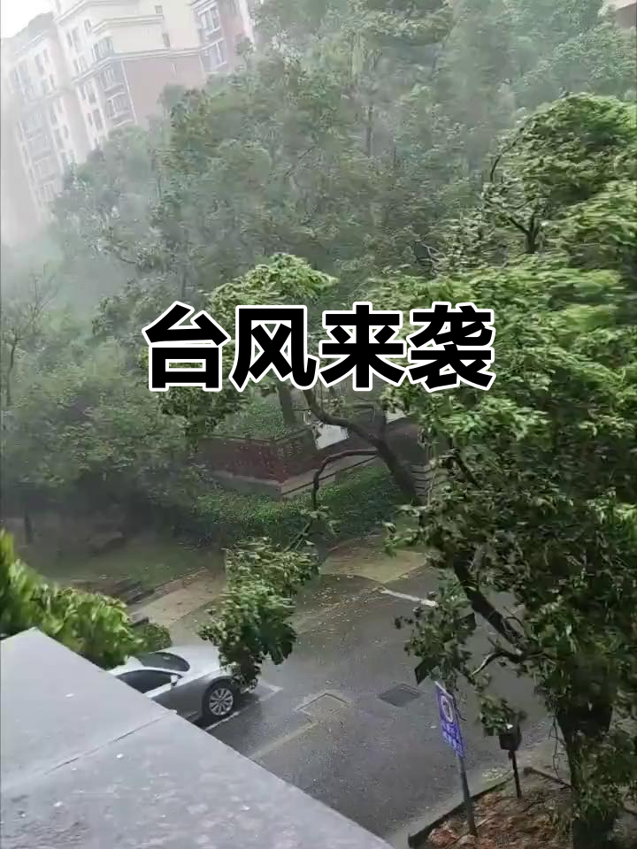 taifeng=台风路径实时路径