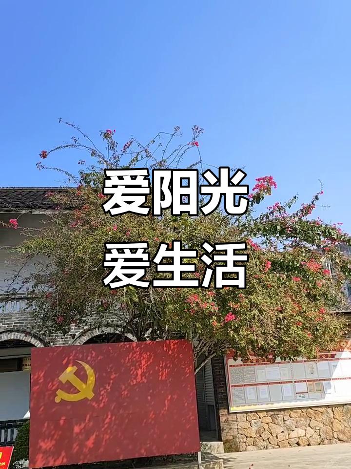 QuickQ 官方网站-中文版,如何利用搜索引擎SEO策略工具提升网站流量