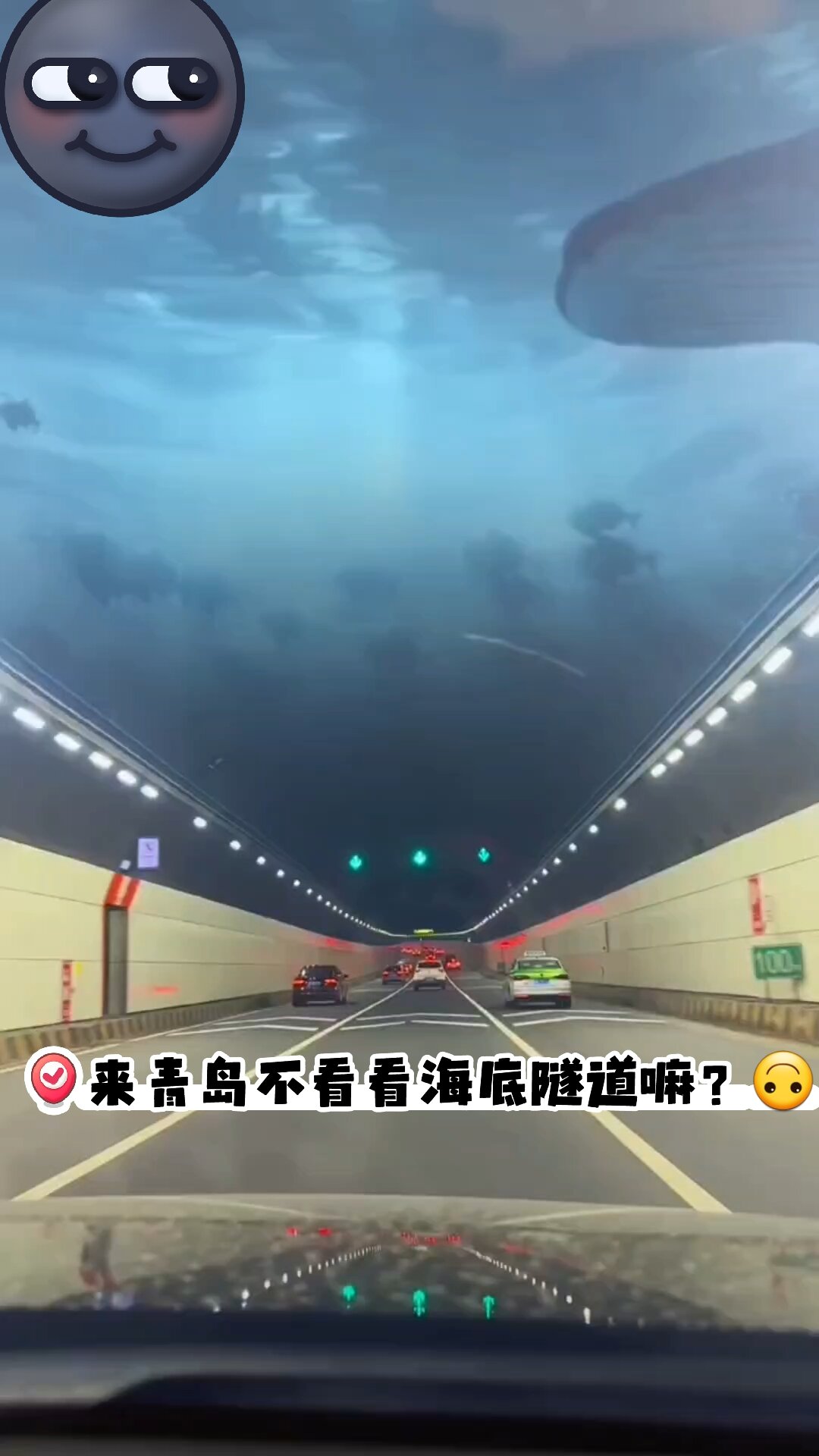 青岛胶州湾隧道收费图片