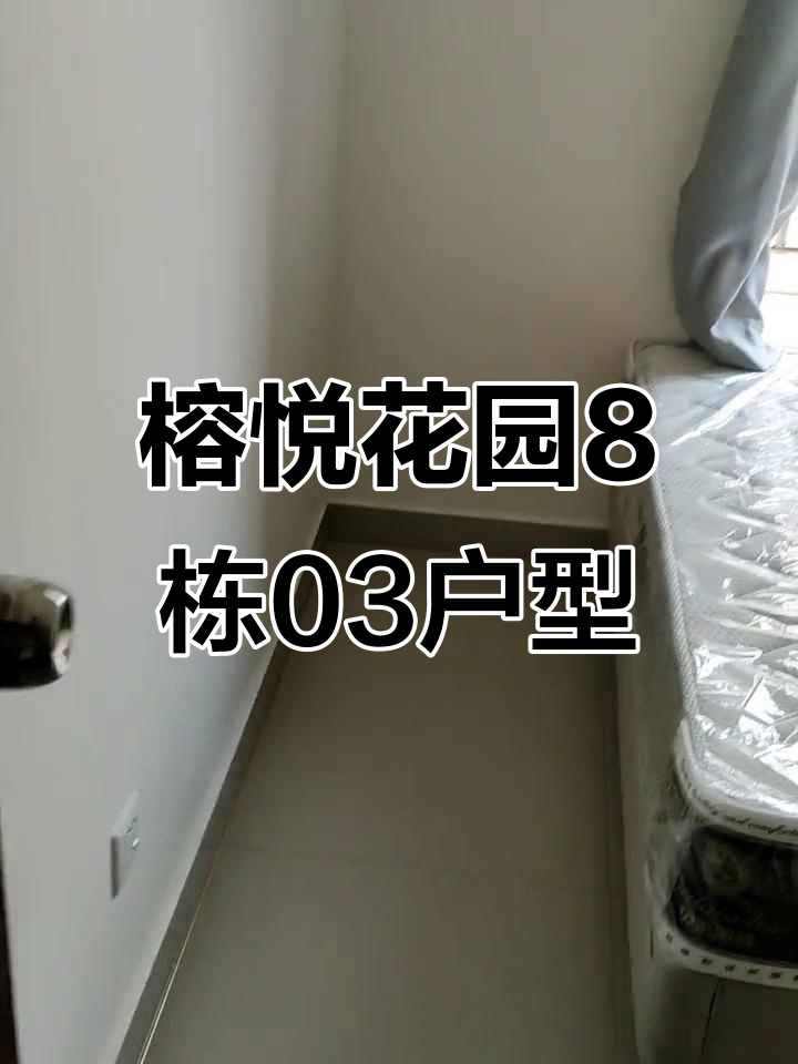 榕悦花园8栋03户型实拍,完美家居设计展示