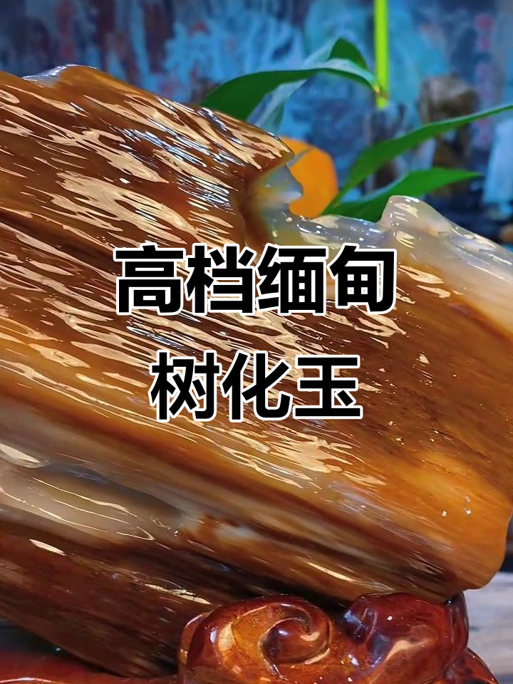 缅甸天然树化玉,横财好运,高档家居摆件