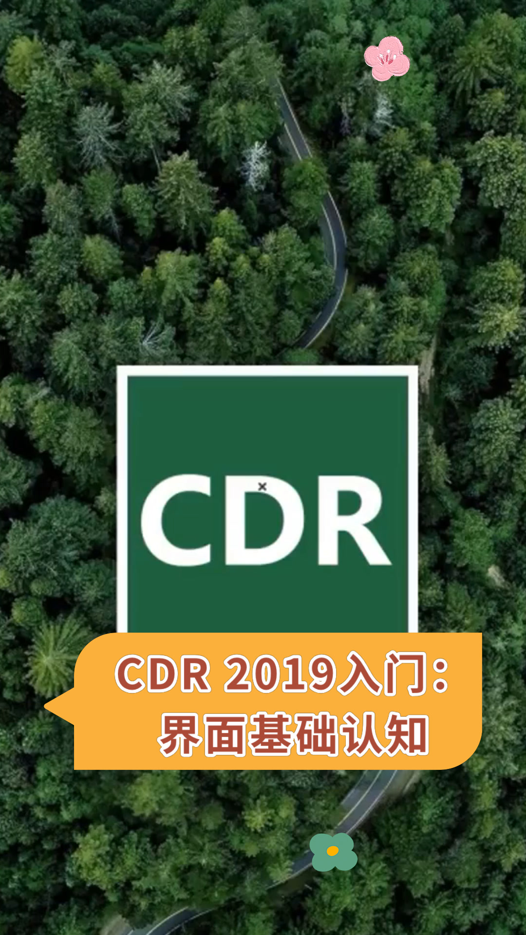 cdr 2019入门:界面基础认知