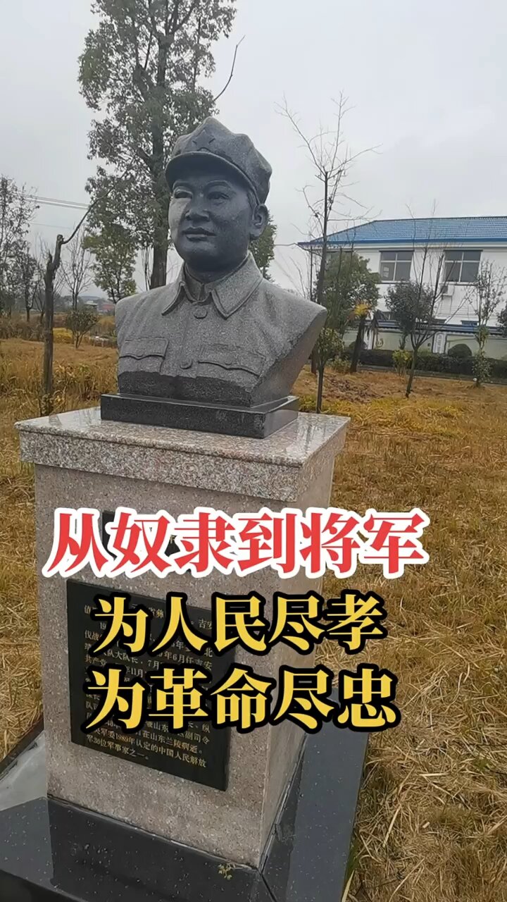 罗炳辉将军简介图片