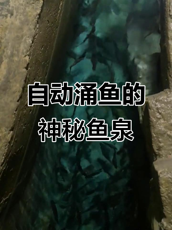 重庆村民挖出鱼泉,雨天涌上千斤鱼,成暴发户