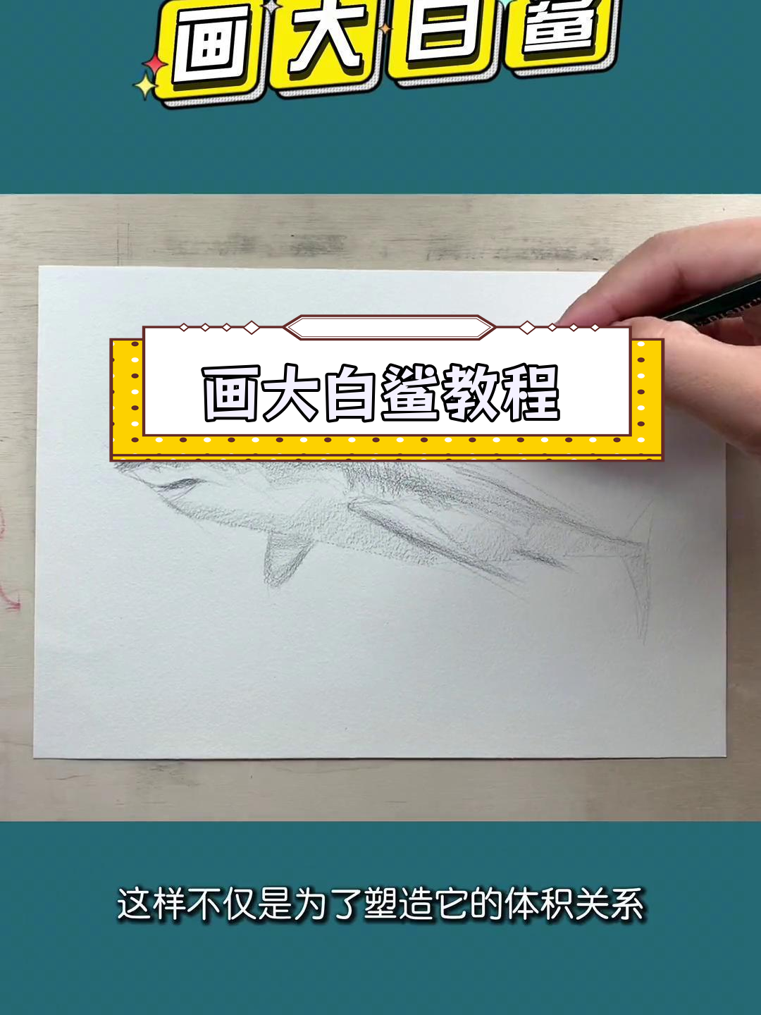 大白鲨素描绘制技巧解析