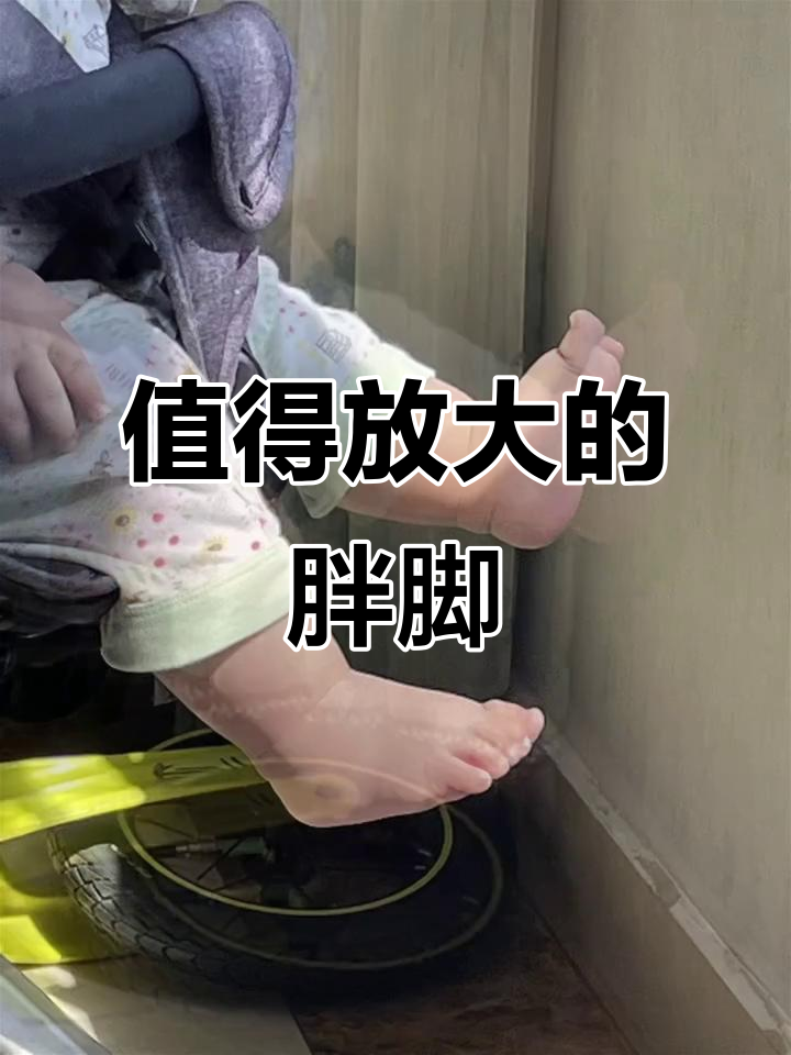 这只胖脚丫,放大看超有趣!