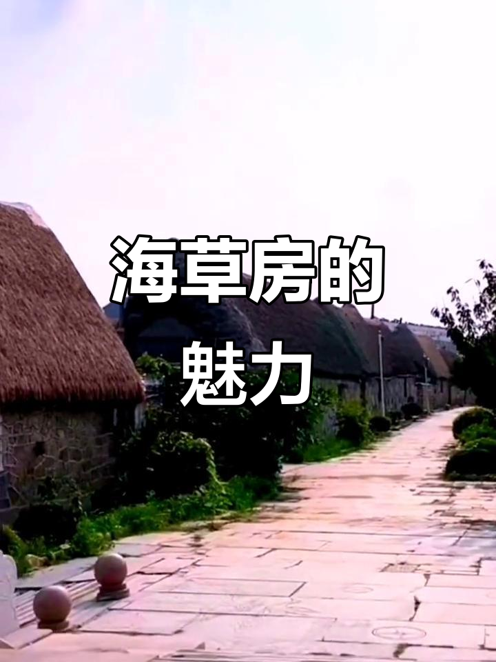 山东威海荣成俚岛镇的海草房,独特建筑魅力满满