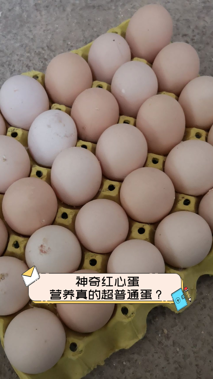 神奇红心蛋,营养真的超普通蛋?