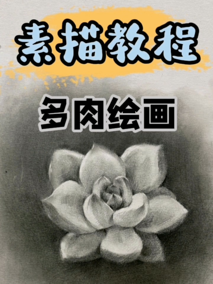 写实素描多肉植物画法详解