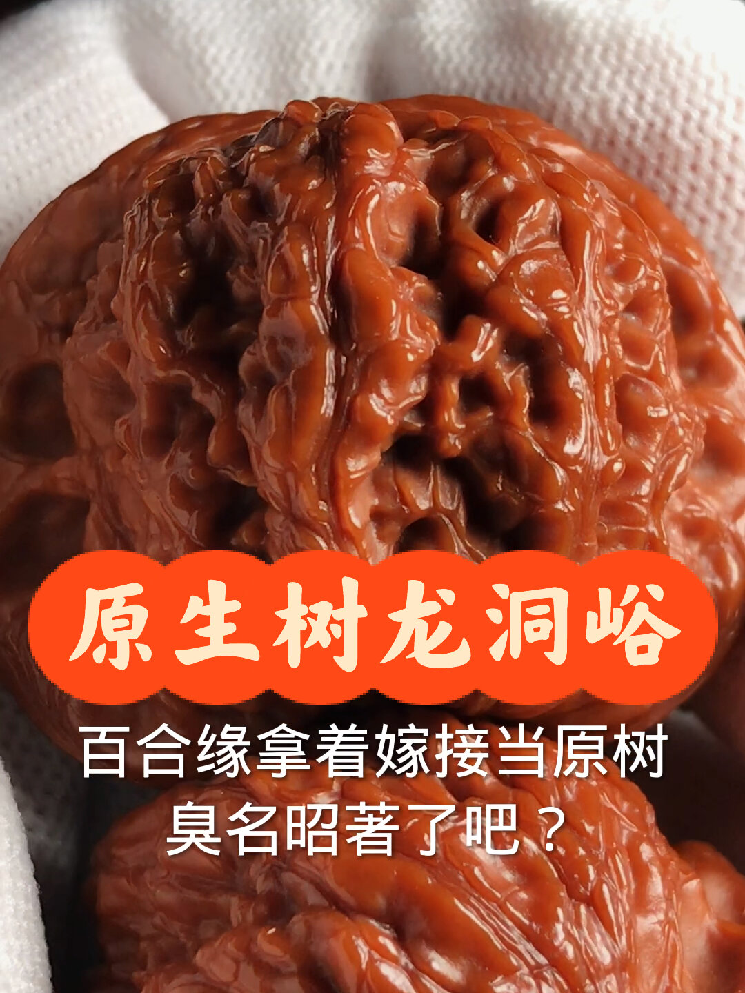 原生树龙洞峪狮子头