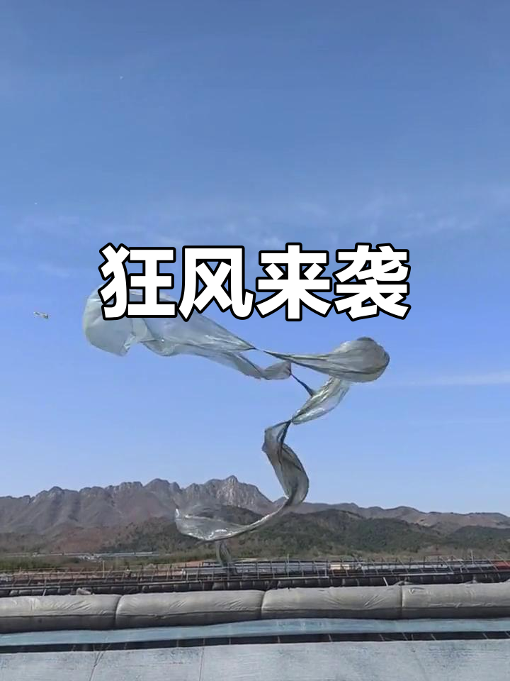 今天的风太大了,简直要吹飞了!