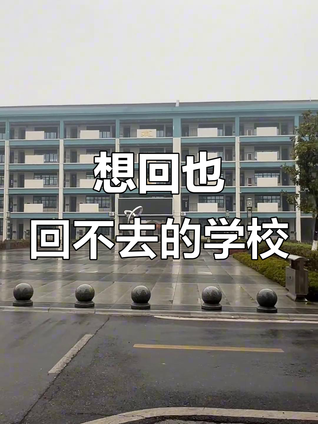 曾经想逃离的千人桥中学,如今却成了最怀念的地方