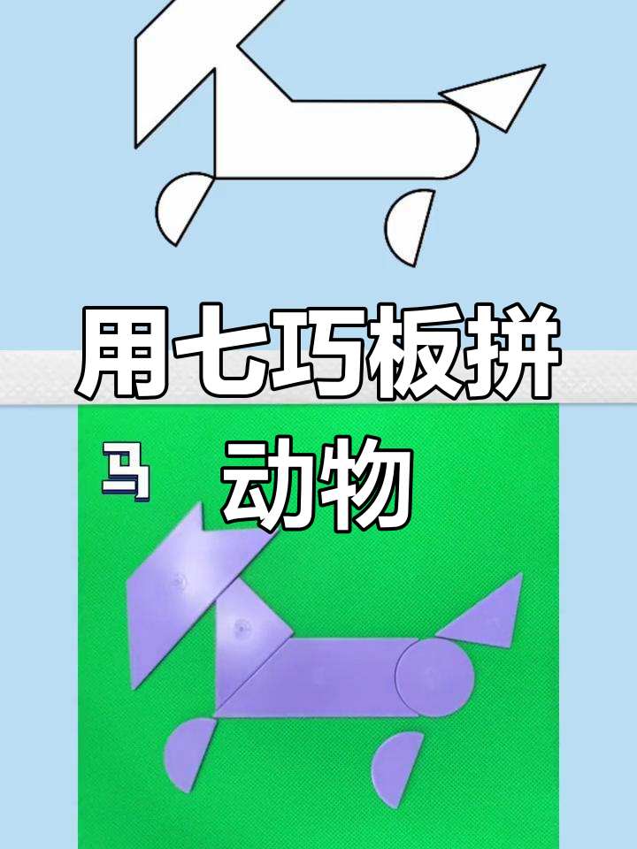 七巧板拼图教学:如何用智力技巧拼出小动物