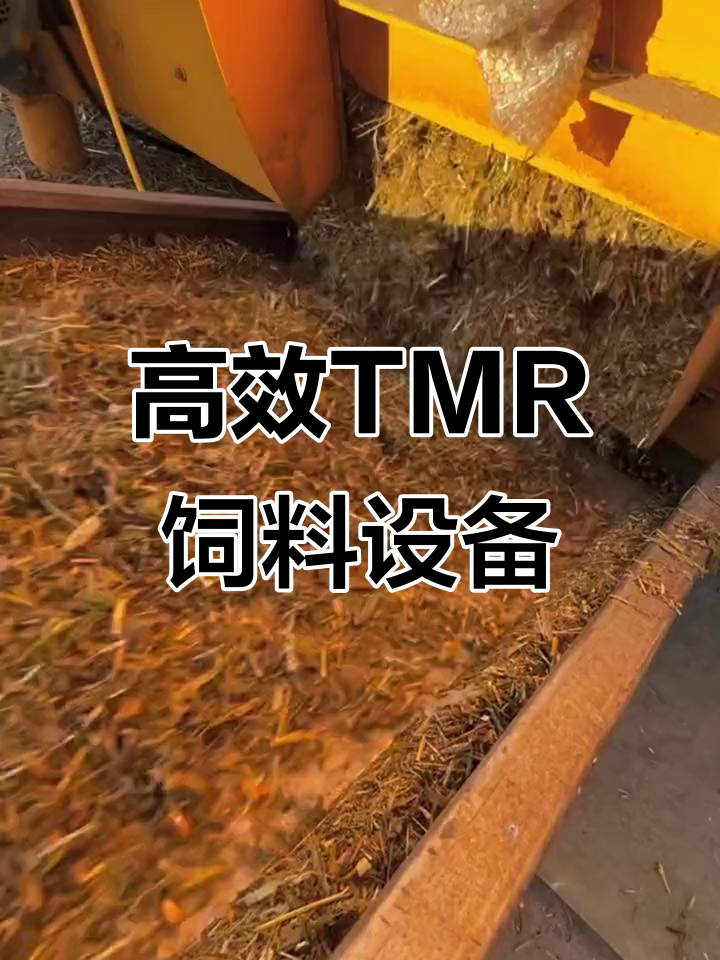 tmr全日粮饲料制备机助力牛羊养殖,提升效率与健康