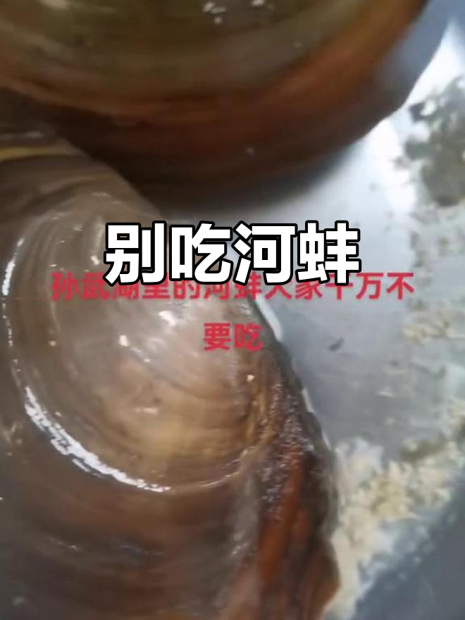捡河蚌千万别吃,寄生虫吓一跳!