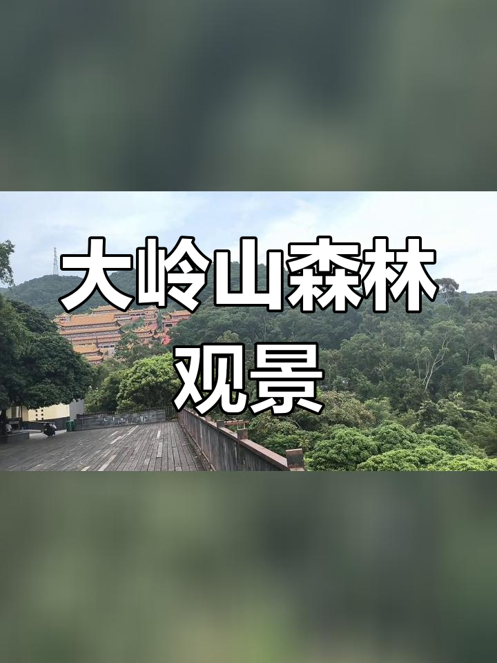 大岭山石洞森林公园图片