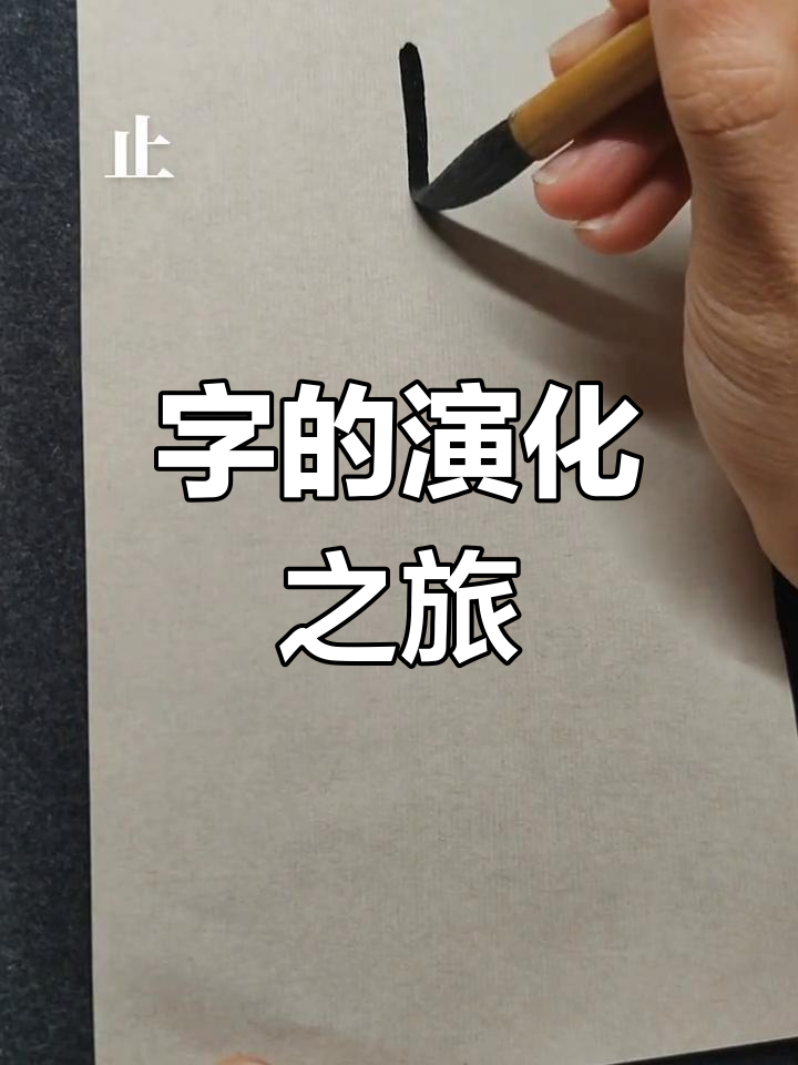 小篆"止"字演变,从脚到静止,居住的多种含义