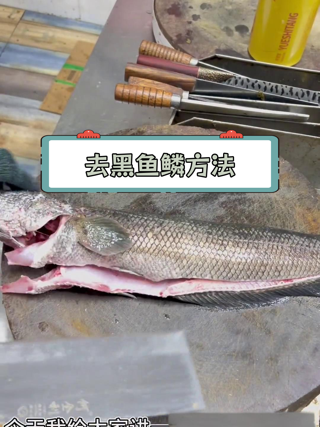 黑鱼去鳞技巧大揭秘