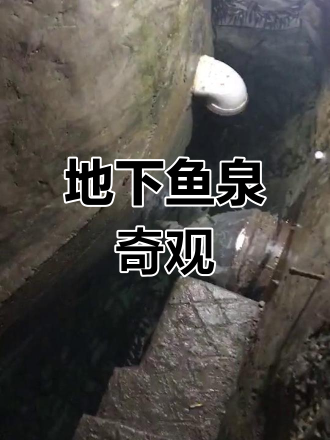 重庆巫溪地下鱼泉,每日数百斤鲜鱼涌出,令人惊叹!