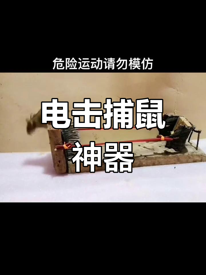 电击老鼠实验图片