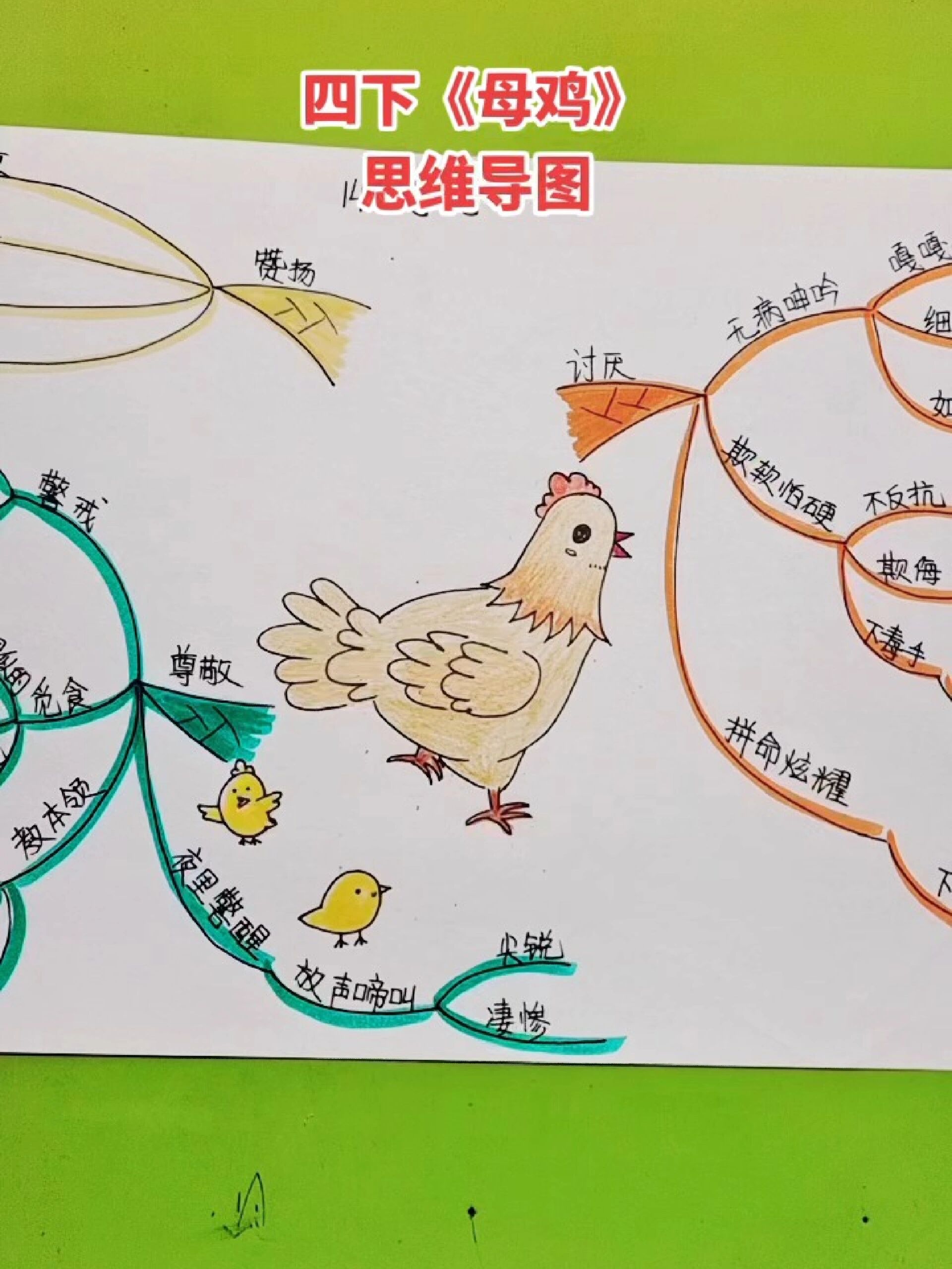 四年级《母鸡》思维导图
