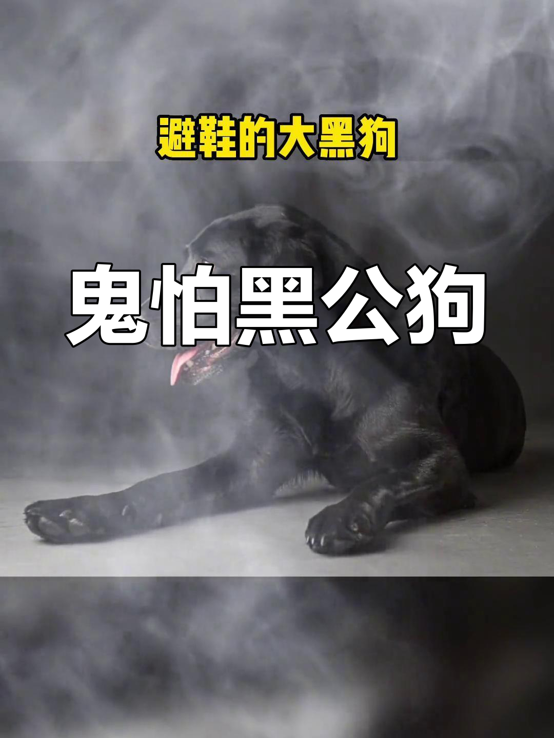 黑狗血辟邪的秘密
