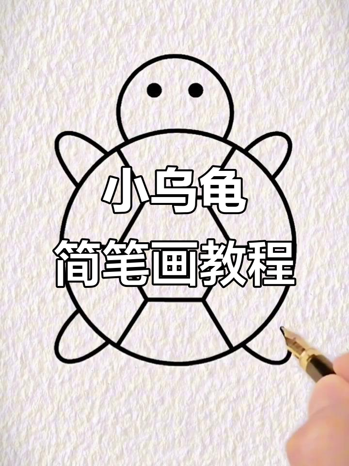 轻松学画小乌龟,简单又有趣