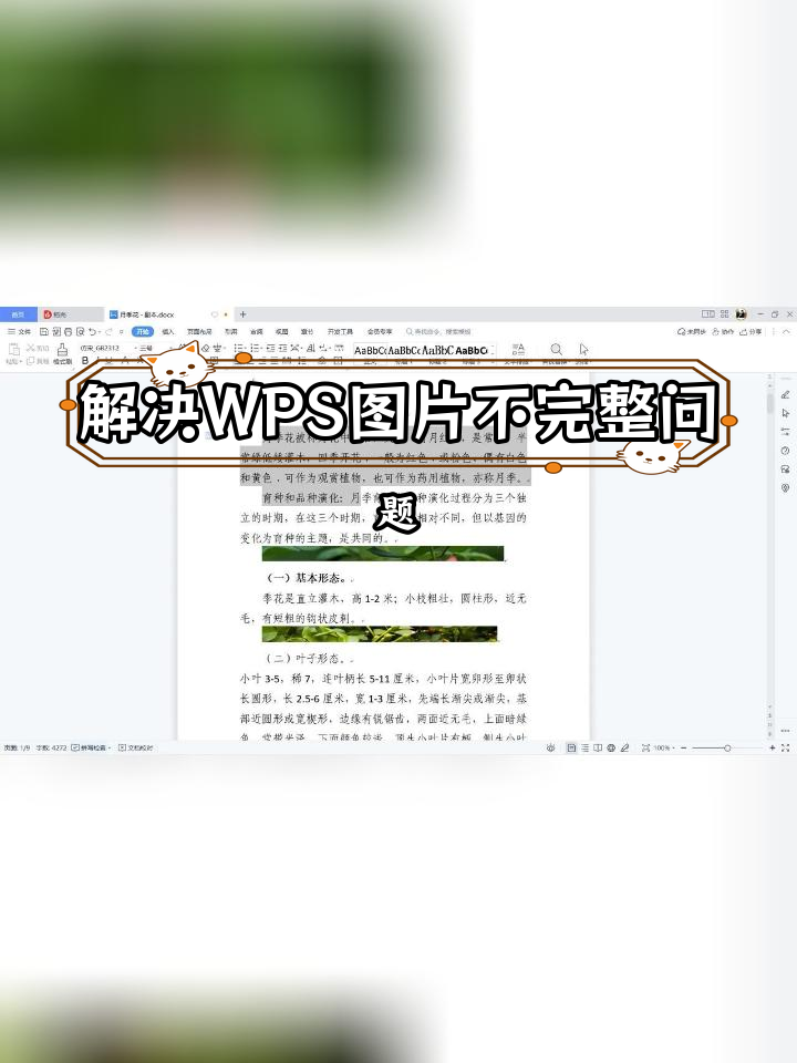 wps嵌入型图片显示不全图片