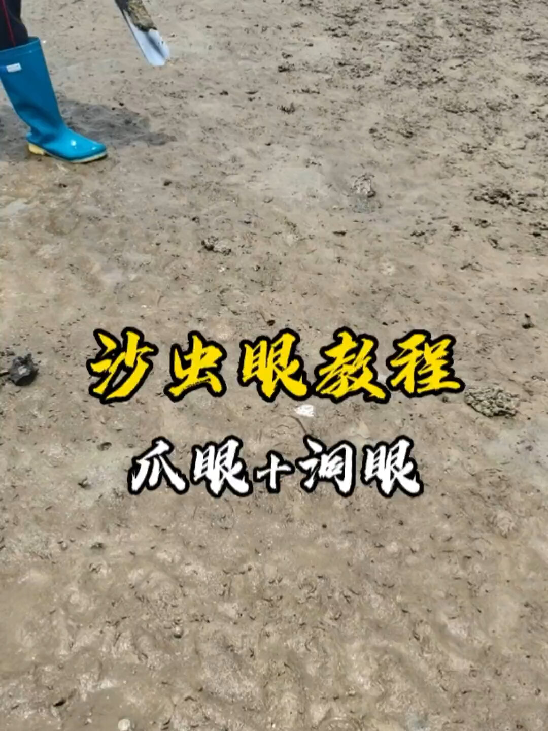 找沙虫眼.一看就会一学就废,不会也不关我事