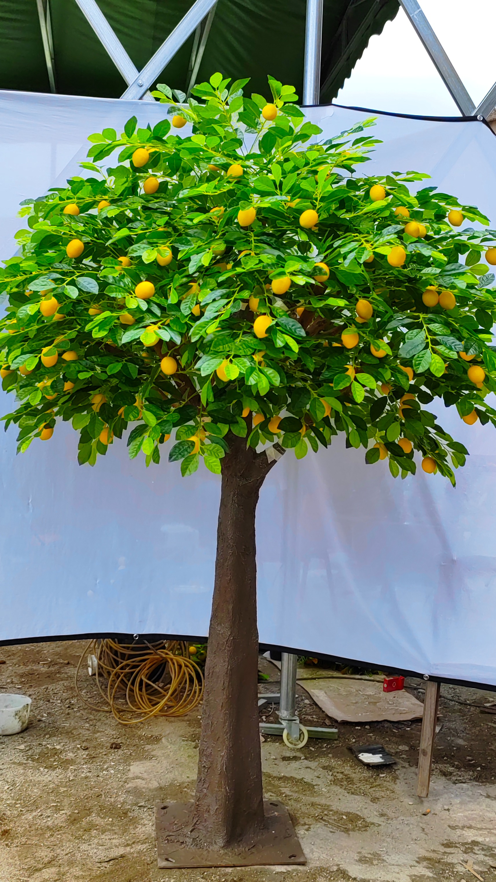 仿真柠檬树 造景美化 花艺布置设计 园林景观工程