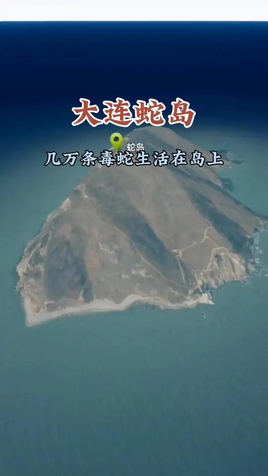 大连蛇岛,几万条毒蛇生活在岛上 大连蛇岛 卫星地图 地理知识