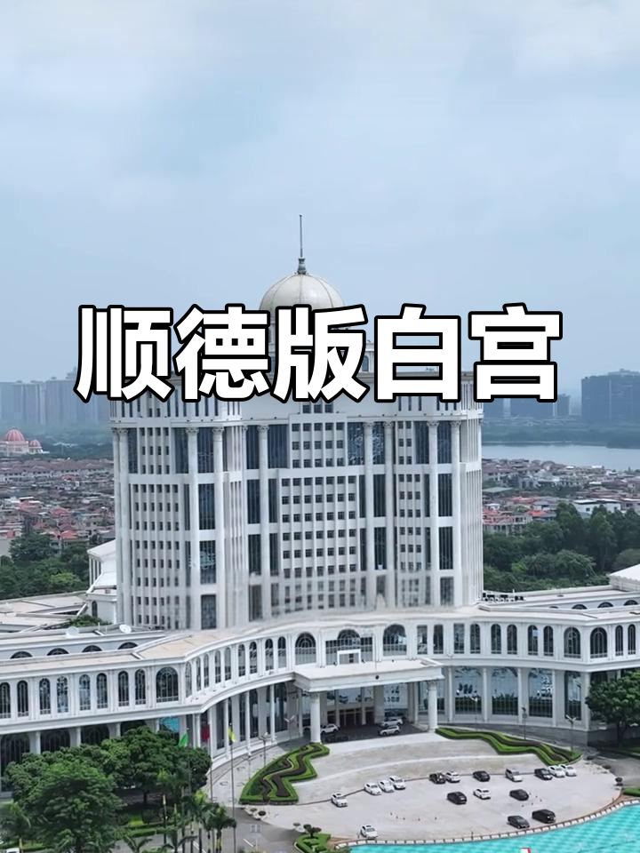 顺德政府大楼白宫事件图片