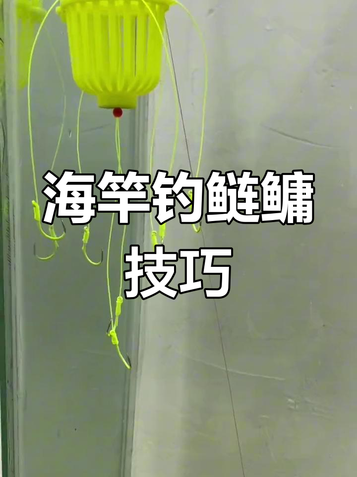 海竿浮钓鲢鳙线组绑法,掌握这招轻松钓鱼