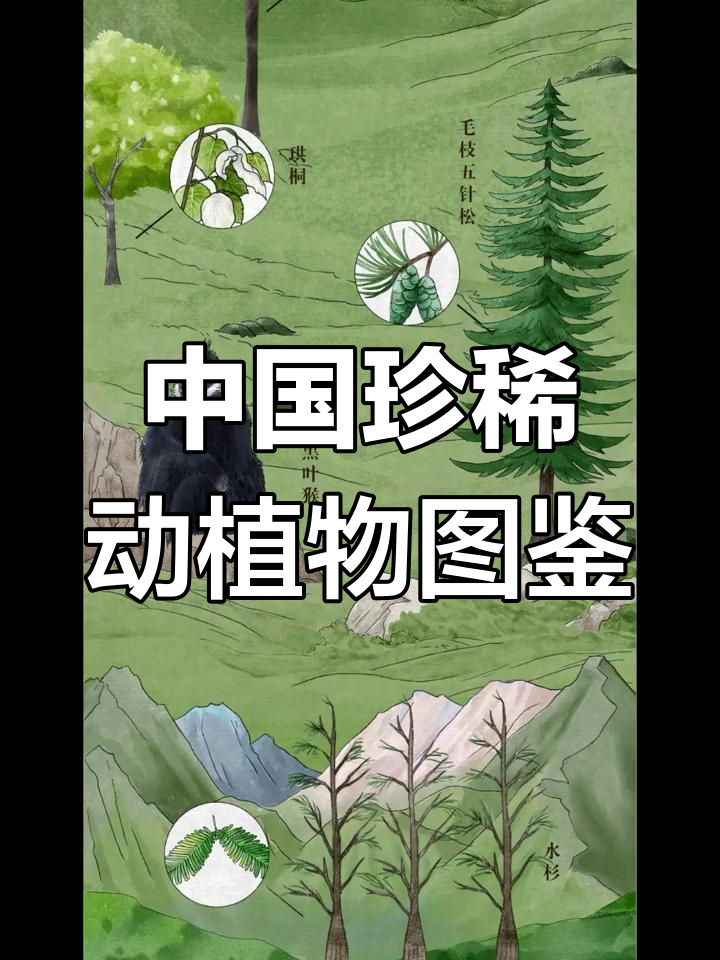 探秘中国珍稀动植物,濒危物种全纪录