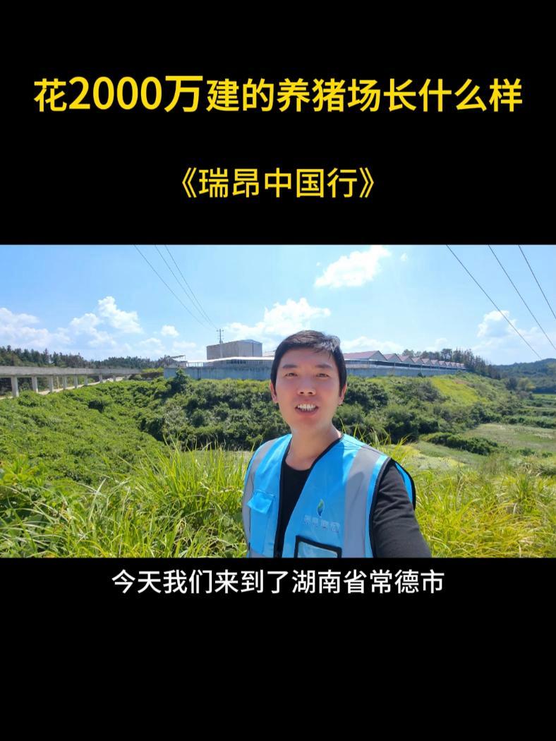 猪场建设 液态饲喂 养猪人加油干 畜牧养殖 新农人计划