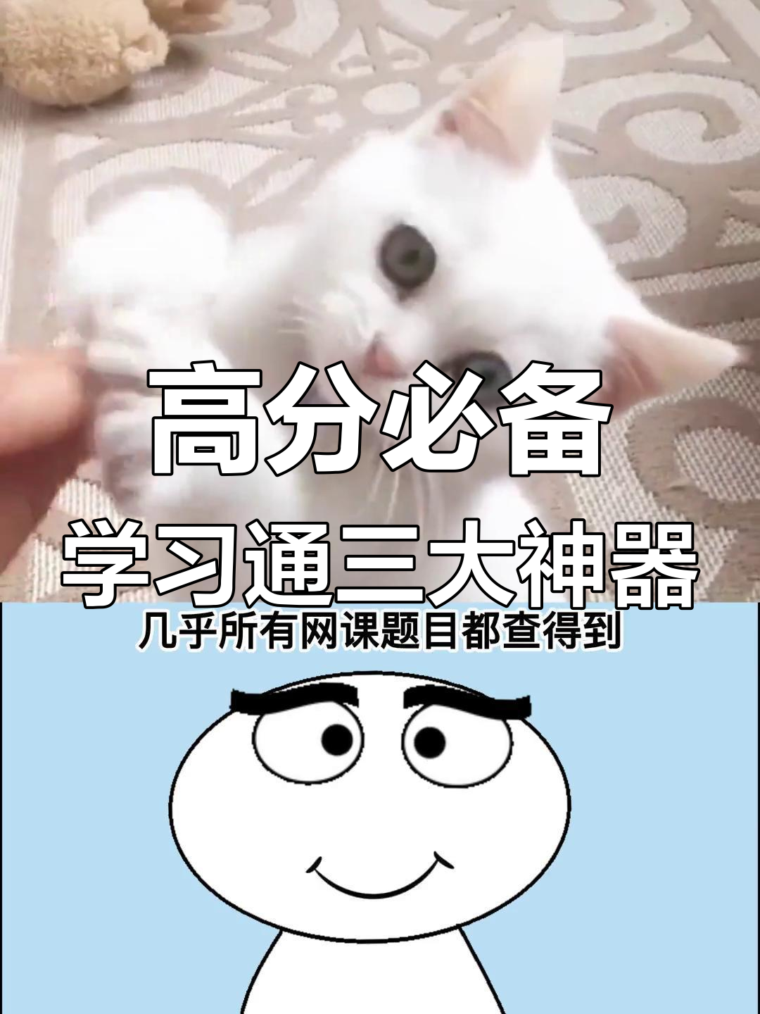 学习通和知到哪个好（知到和智慧树是一个软件吗）