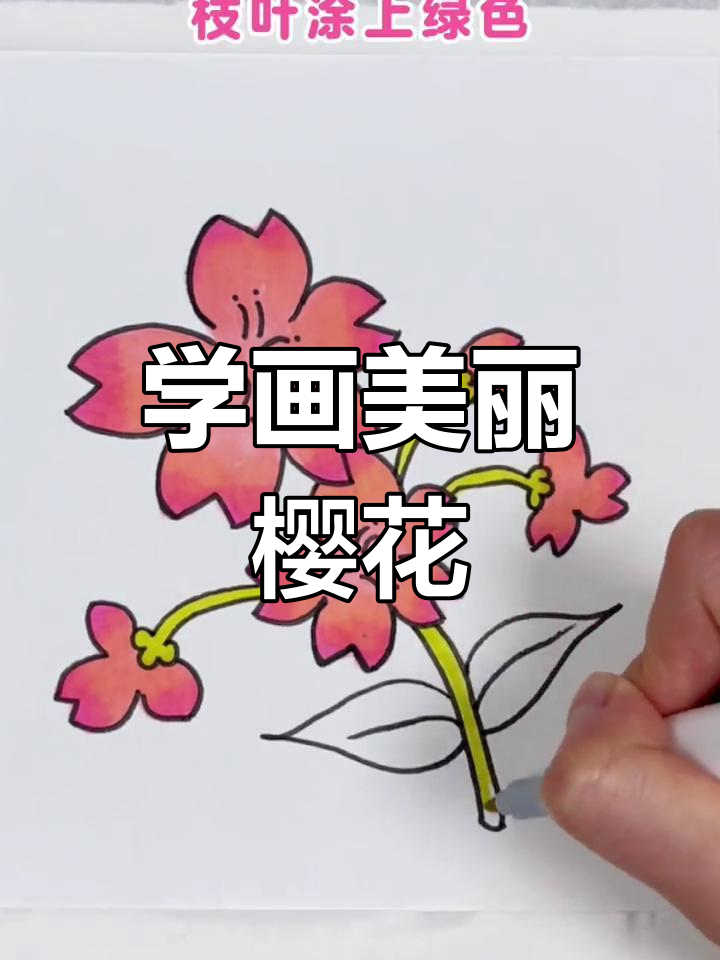 樱花简笔画 步骤图片