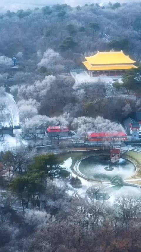 开原七鼎龙潭寺电话图片