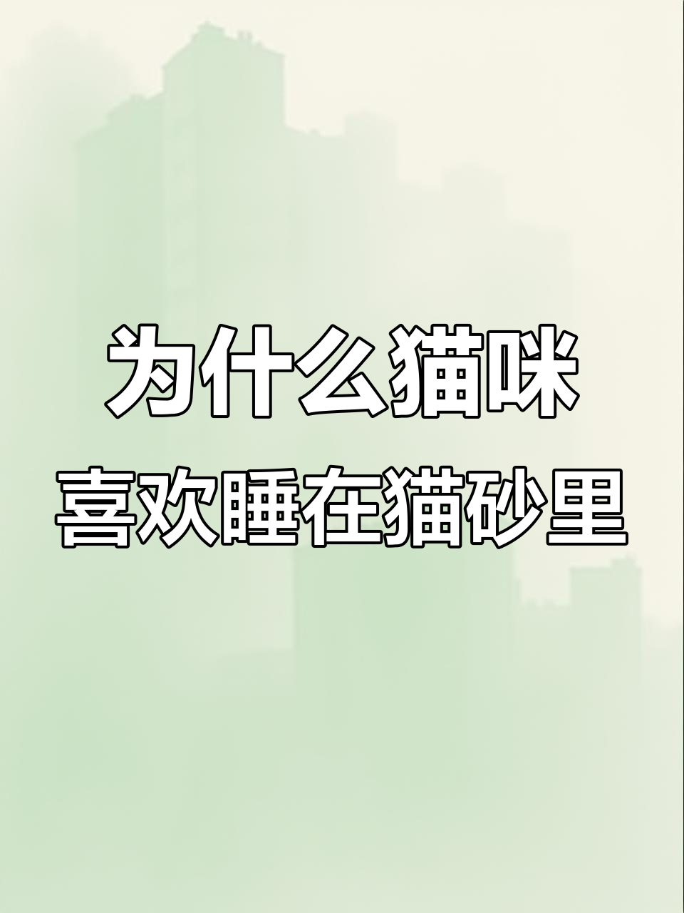 跟猫一起睡觉的6大危害百科在线
