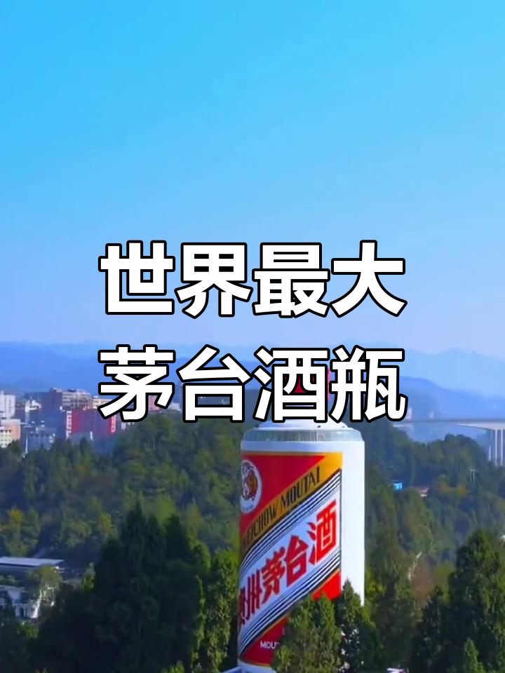 最大茅台酒瓶图片图片